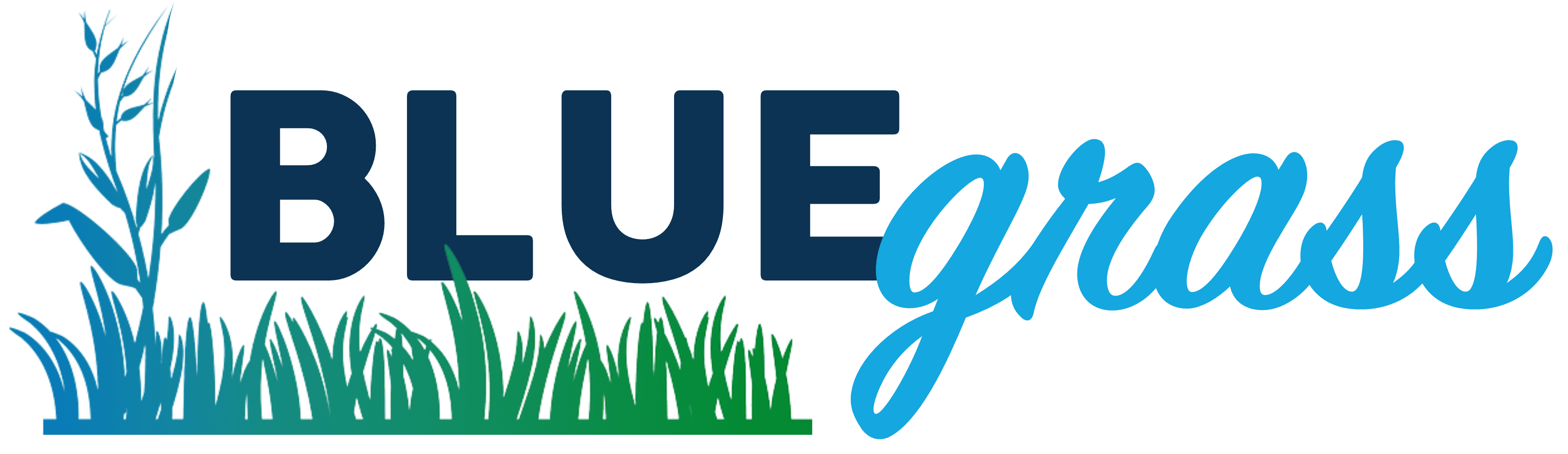 Form Banner